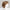 Side view #8564 EverYou™ Nora Wig shown in (1020) Golden Brown with Blonde Highlights