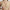 Zipper View #9682 Slick Chicks™ Wireless Zip Front Bra Shown in Beige